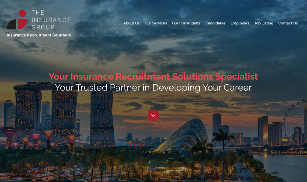 Insurance Group